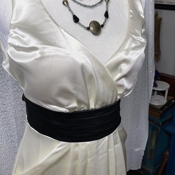 Appropriate Behavior prom dress size 11/12 - Picture 4 of 14